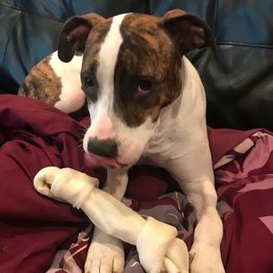 Meet your Posher, Derek